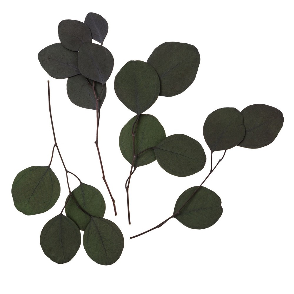 Eukaliptus Populus - DpCraft - zielony, 20 cm, 4 szt.