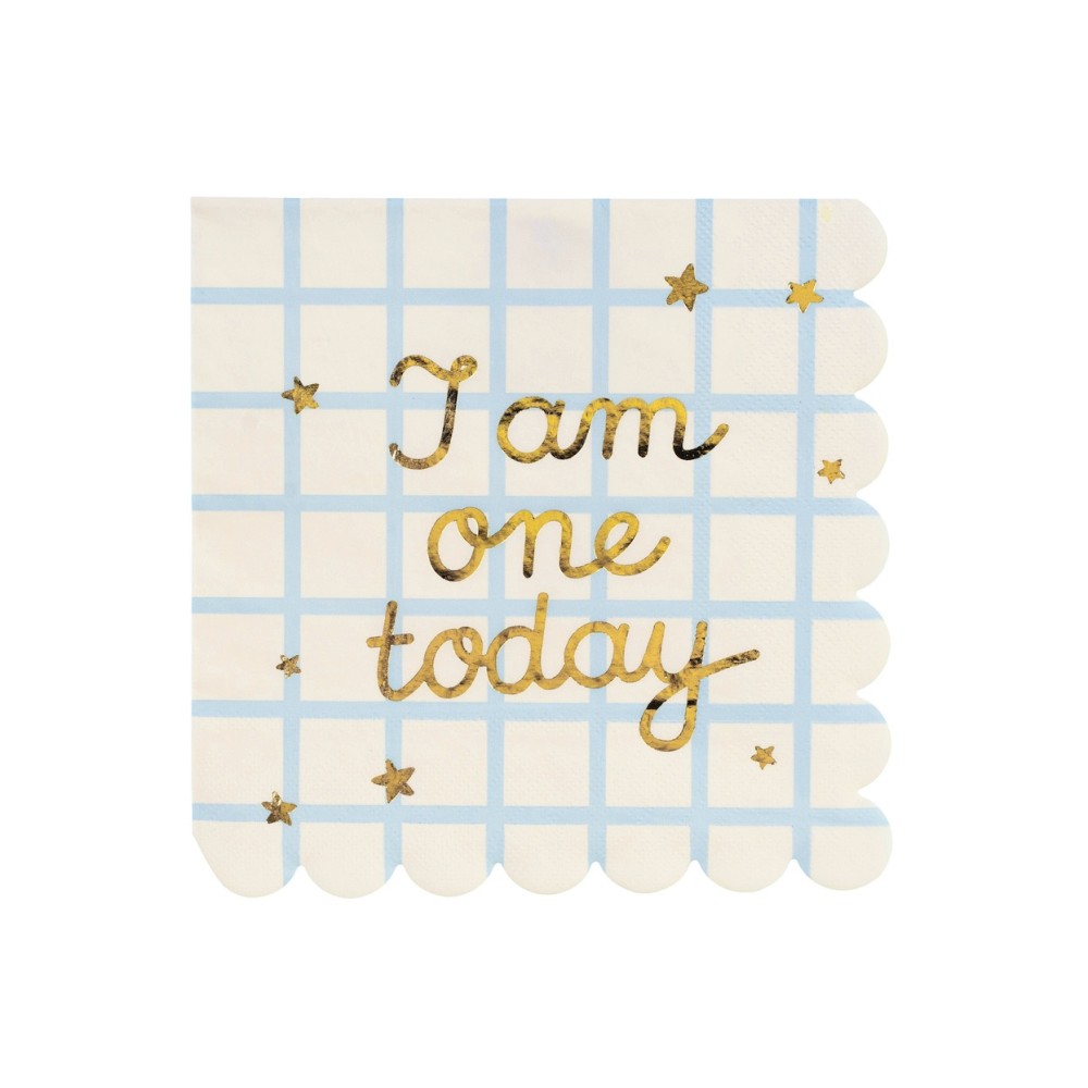 Serwetki papierowe I Am One Today - 16,5 x 16,5 cm, 12 szt.