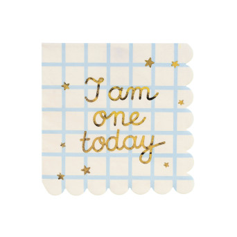 Serwetki papierowe I Am One Today - 16,5 x 16,5 cm, 12 szt.
