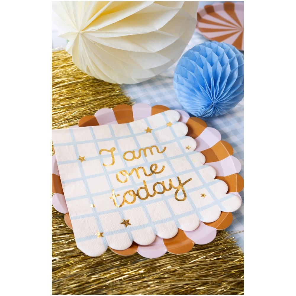 Paper napkins I Am One Today - 16,5 x 16,5 cm, 12 pcs.