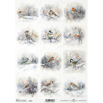 Papier do decoupage A4 - ITD Collection - ryżowy, R2491