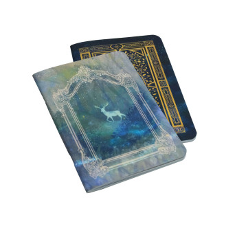 Set of Notebooks Book of Wonders & Forest Spirit - Devangari - 2 pcs.