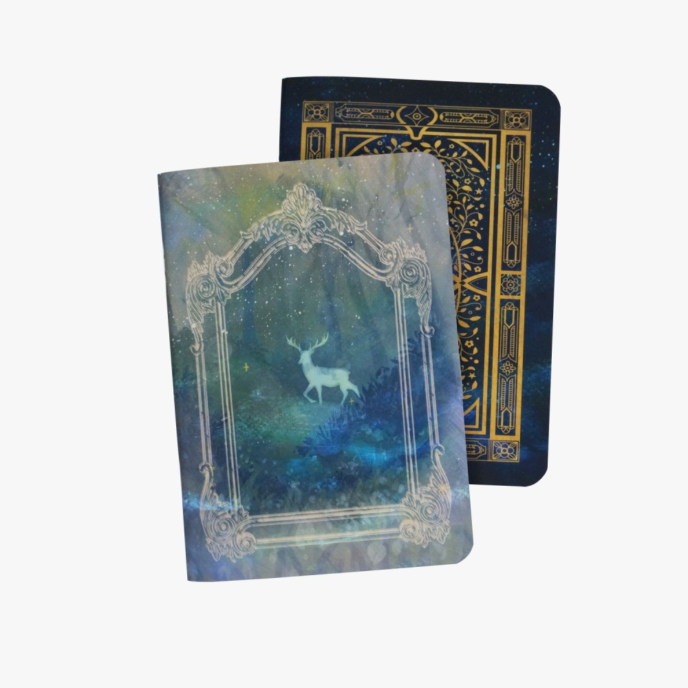 Zestaw zeszytów Book of Wonders & Forest Spirit - Devangari - 2 szt.