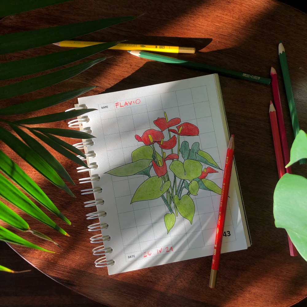 A coloring plants guidebook - Plants & Plants