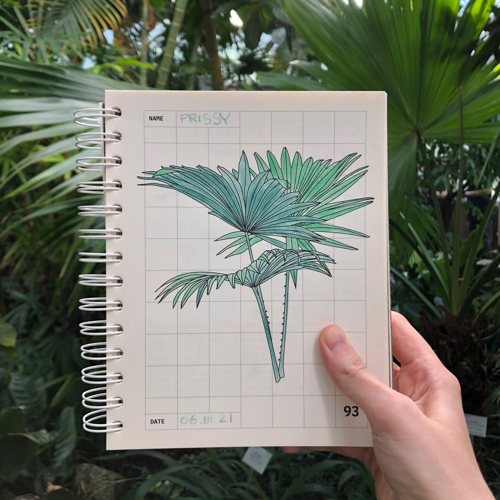 A coloring plants guidebook - Plants & Plants