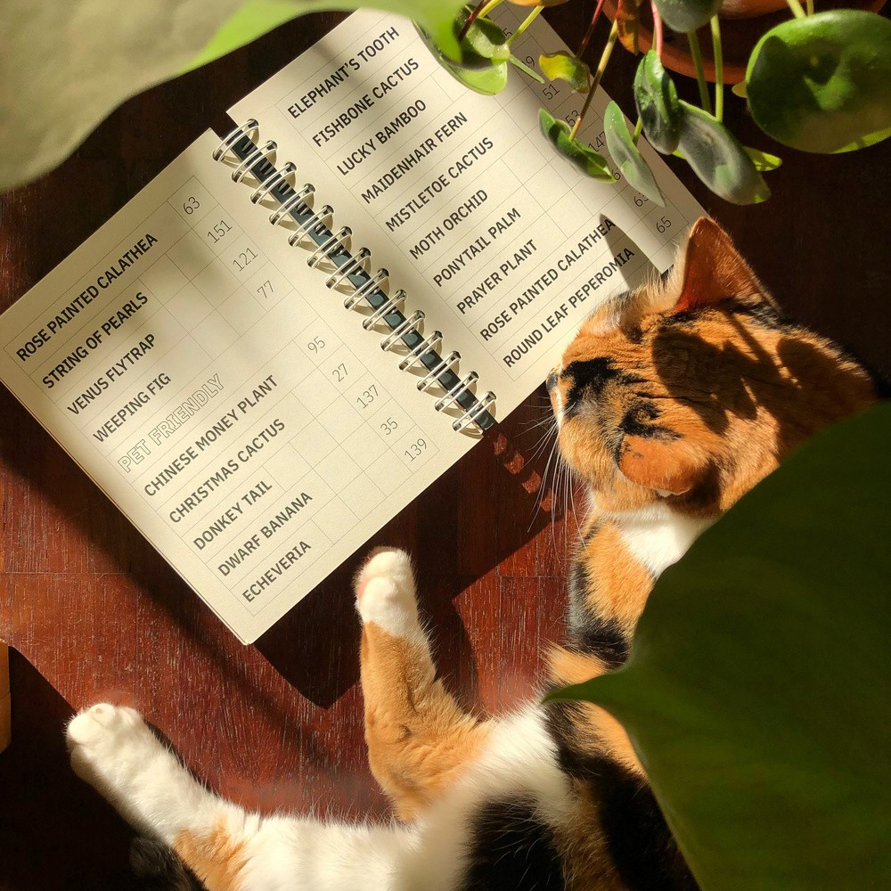A coloring plants guidebook - Plants & Plants