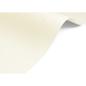 Curious Particles paper 120g - Natural Lily Flower A4