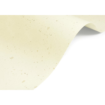 Curious Particles paper 120g - Cream Rose A4