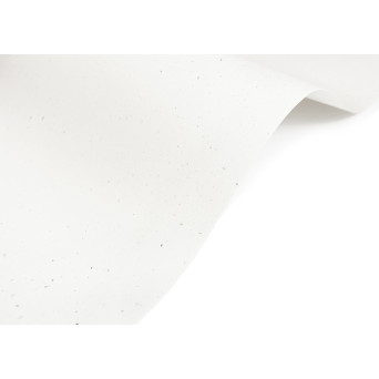 Curious Particles paper 120g - White Java A4