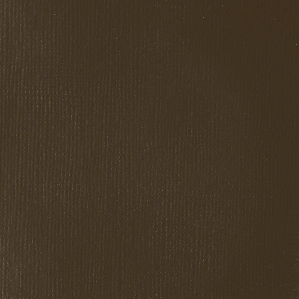 Acrylic Soft Body paint - Liquitex - Transparent Raw Umber, 59 ml