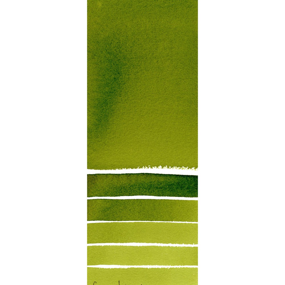 Extra Fine Watercolor paint - Daniel Smith - Sap Green, 5 ml