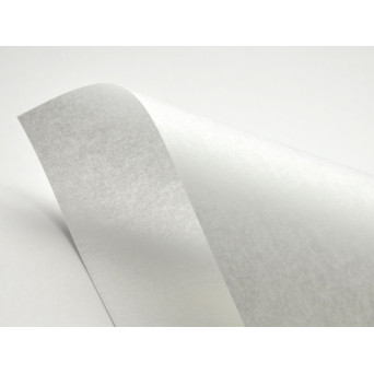 Papier Pergamenata 230g - Bianco biały A4