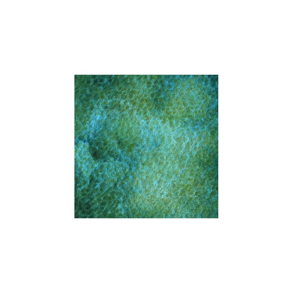 Farba akwarelowa Artists’ Watercolor - Holbein - Peafowl Green, 5 ml