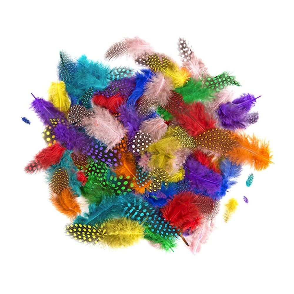 Pheasant feathers - colorful, 6 g