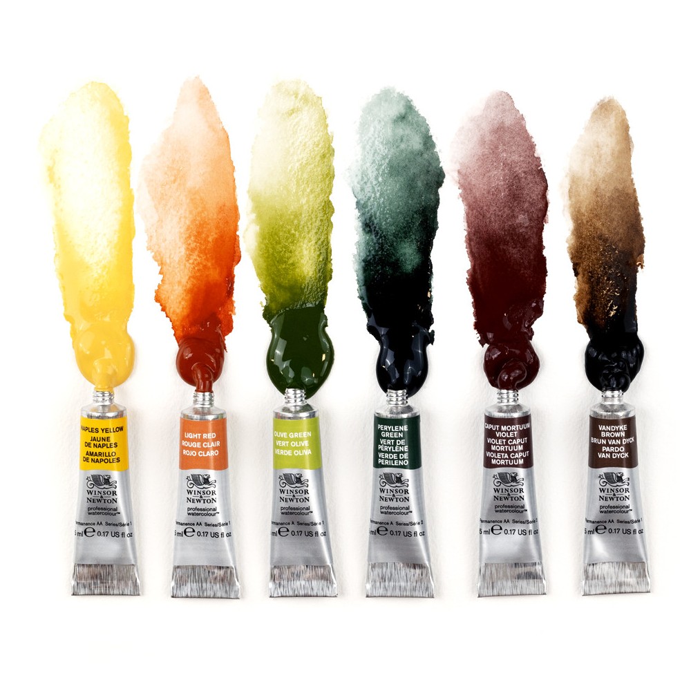 Professional Watercolor Rich Earth Set - Winsor & Newton - 6 x 5 ml