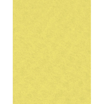 Filc ozdobny - Knorr Prandell - lemon yellow, 20 x 30 cm