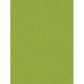 Filc ozdobny - Knorr Prandell - lime green, 20 x 30 cm