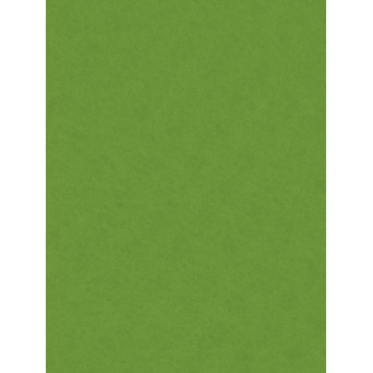 Decorative felt - Knorr Prandell - may green, 20 x 30 cm