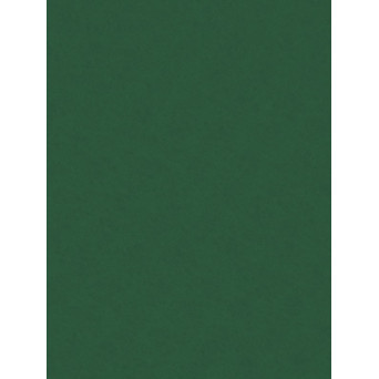 Decorative felt - Knorr Prandell - moss green, 20 x 30 cm