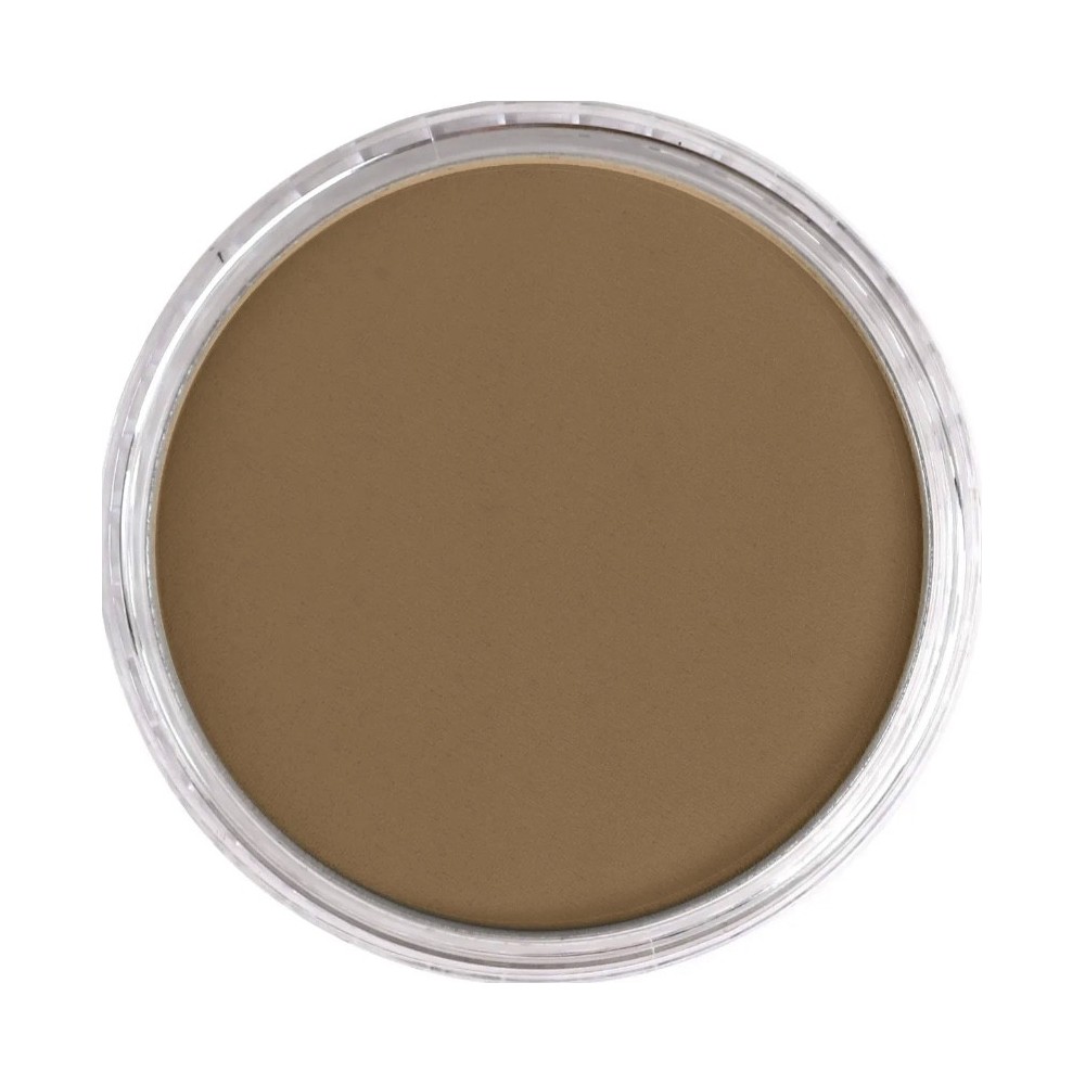 Ultra Soft PanPastel - 780.7 Raw Umber Light
