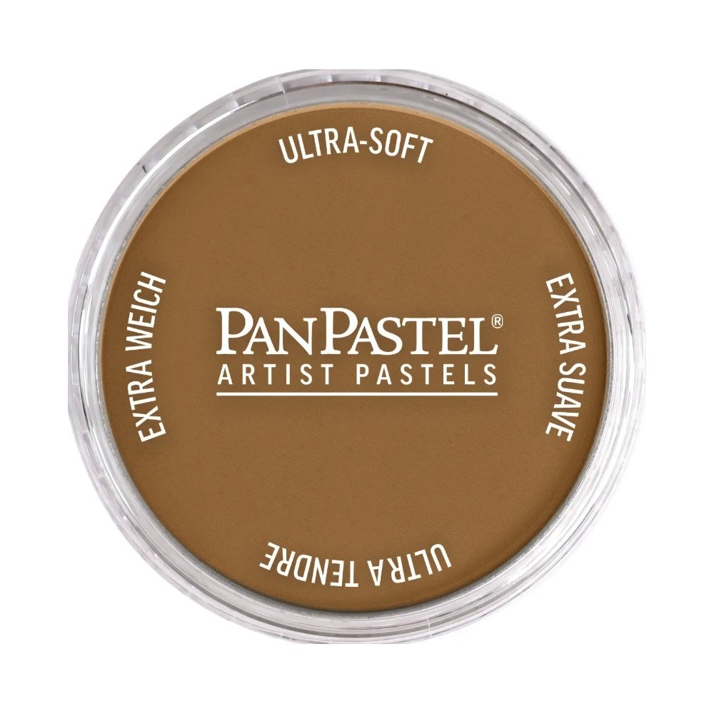 Ultra Soft PanPastel - 760.6 Burnt Umber Medium