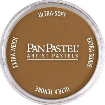 Ultra Soft PanPastel - 760.6 Burnt Umber Medium