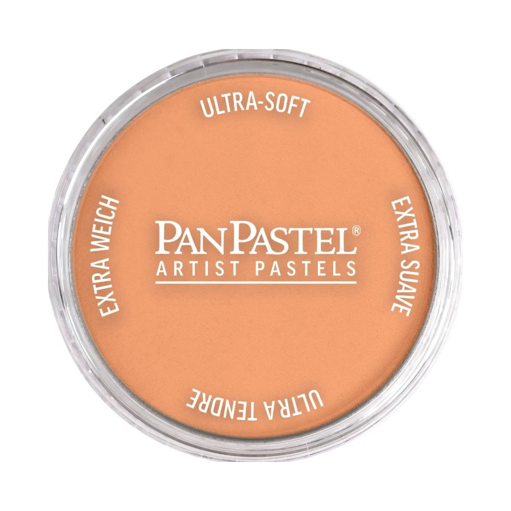 Pastela sucha PanPastel - 740.7 Burnt Sienna Light