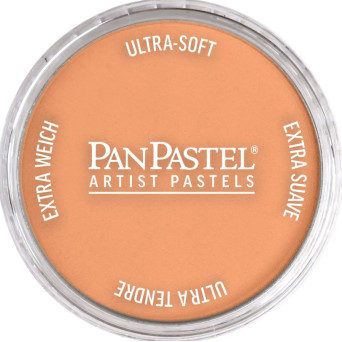 Pastela sucha PanPastel - 740.7 Burnt Sienna Light
