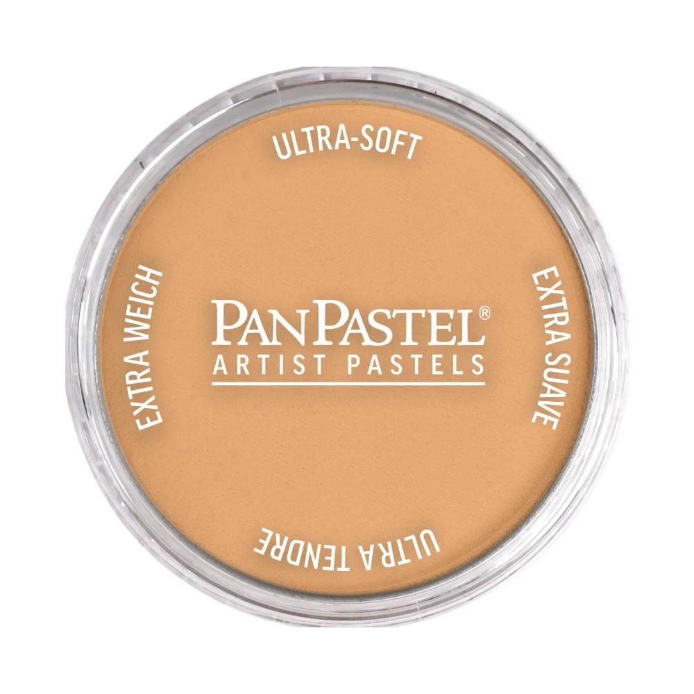 Ultra Soft PanPastel - 710.7 Raw Sienna Light