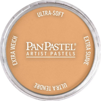 Pastela sucha PanPastel - 710.7 Raw Sienna Light