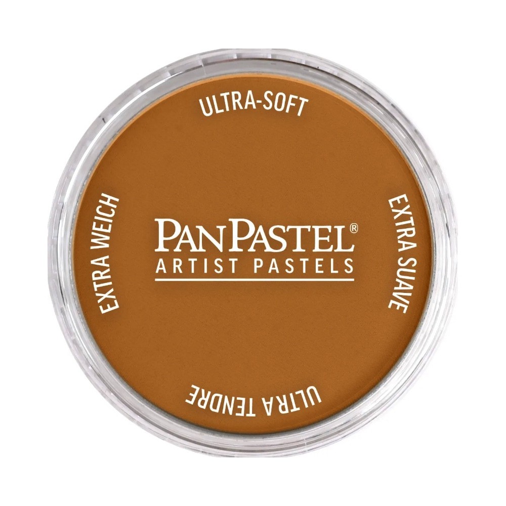 Ultra Soft PanPastel - 710.5 Raw Sienna