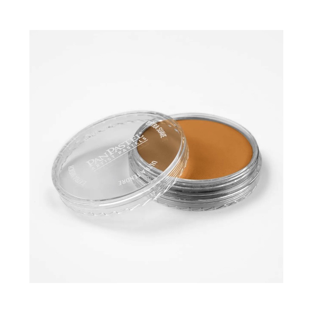 Pastela sucha PanPastel - 710.5 Raw Sienna