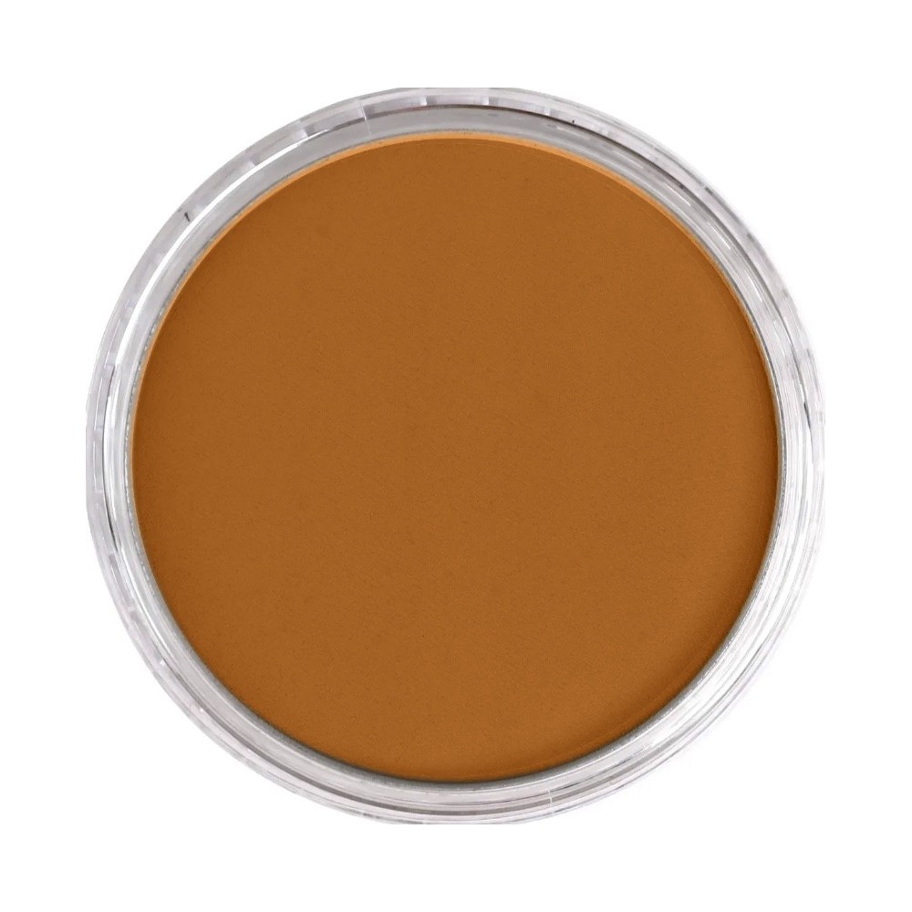Ultra Soft PanPastel - 710.5 Raw Sienna