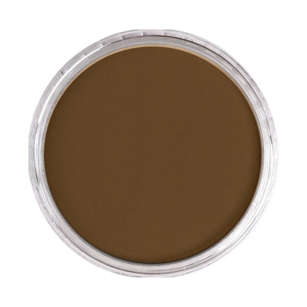 Ultra Soft PanPastel - 710.1 Raw Sienna Extra Dark