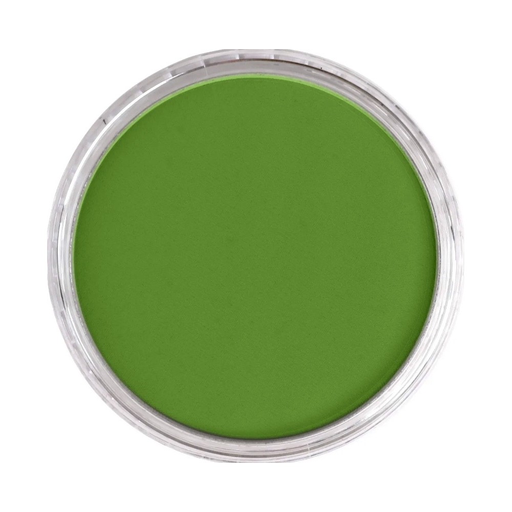 Ultra Soft PanPastel - 690.3 Yellow Green Shade