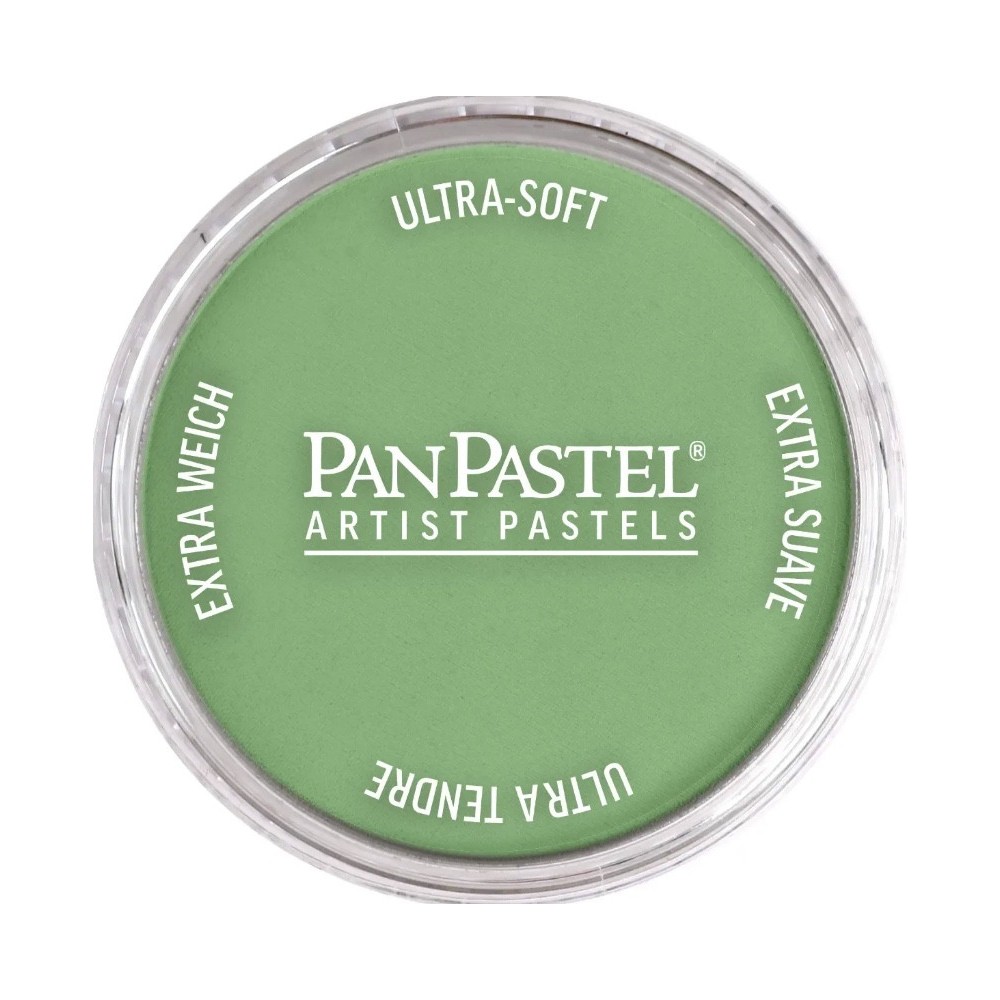 Ultra Soft PanPastel - 660.7 Chromium Oxide Green Light