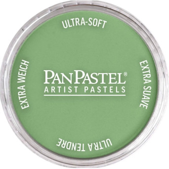 Pastela sucha PanPastel - 660.7 Chromium Oxide Green Light