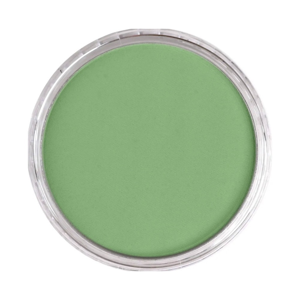 Pastela sucha PanPastel - 660.7 Chromium Oxide Green Light