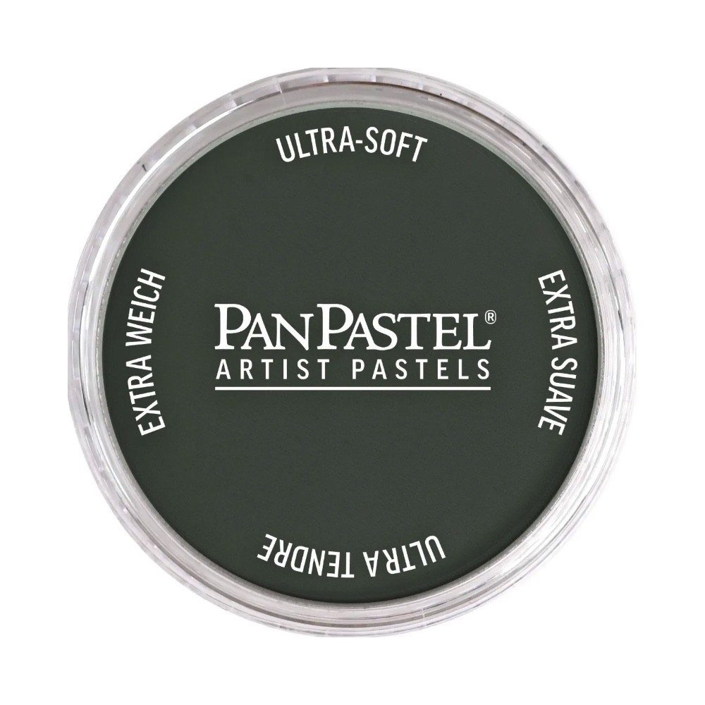 Ultra Soft PanPastel - 820.2 Neutral Gray Extra Dark 2