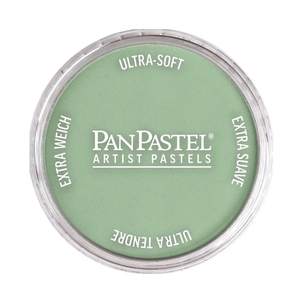 Ultra Soft PanPastel - 660.8 Chromium Oxide Green Tint