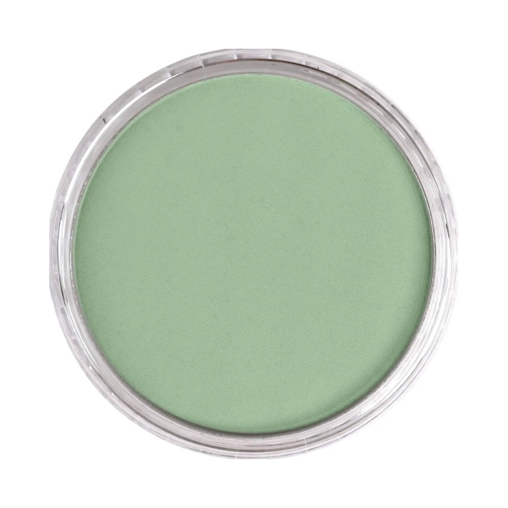 Ultra Soft PanPastel - 660.8 Chromium Oxide Green Tint