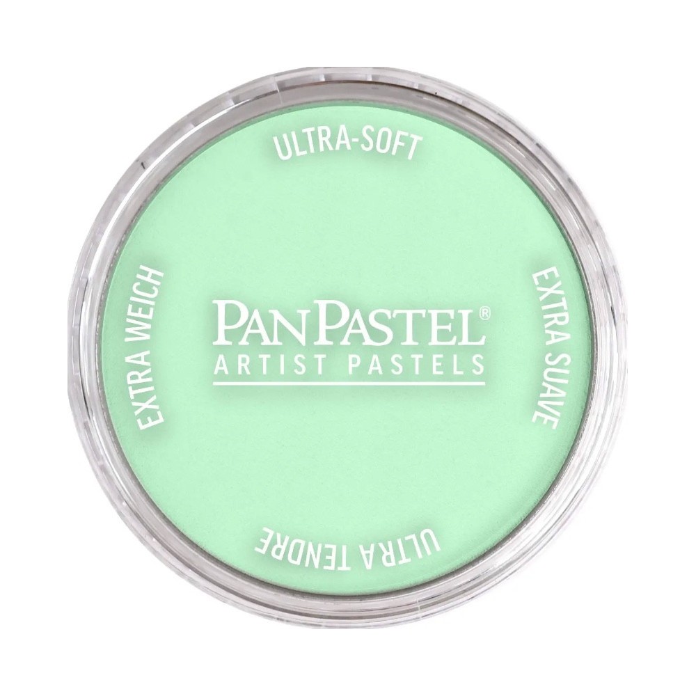 Pastela sucha PanPastel - 640.8 Permanent Green Tint