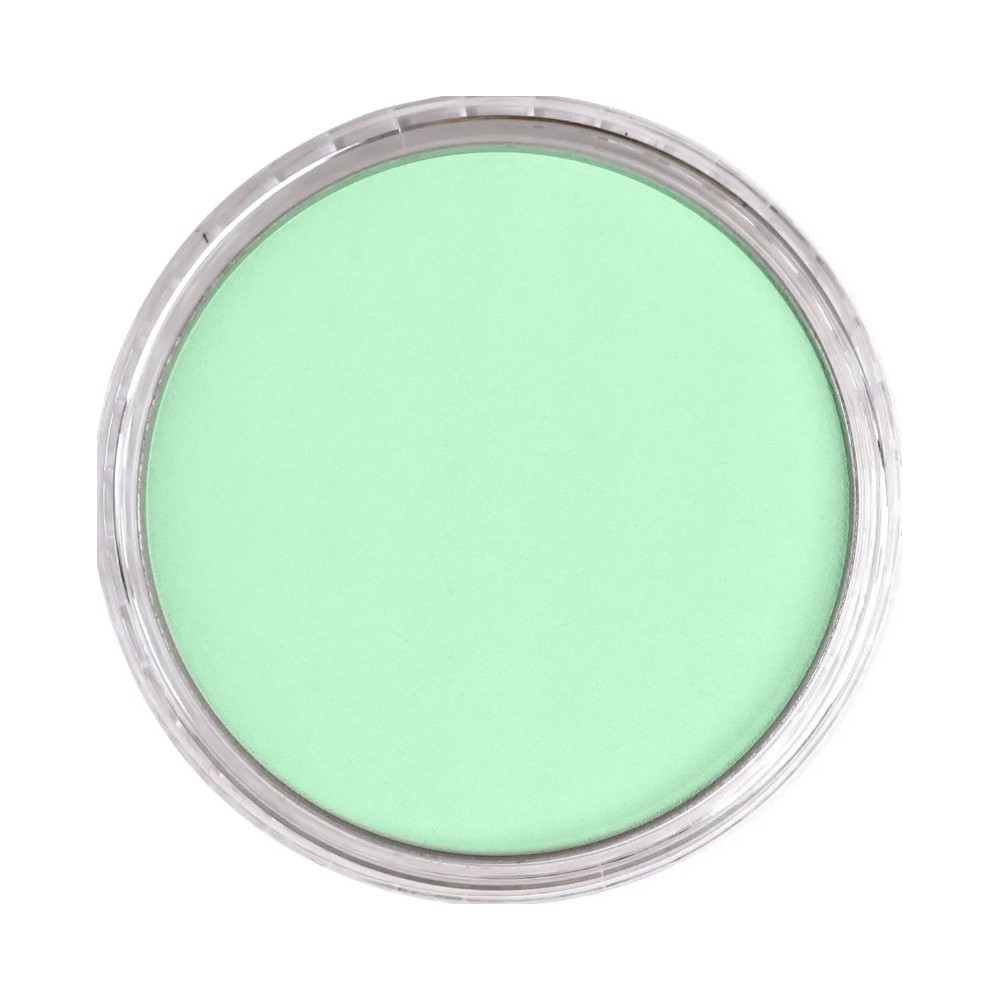 Ultra Soft PanPastel - 640.8 Permanent Green Tint