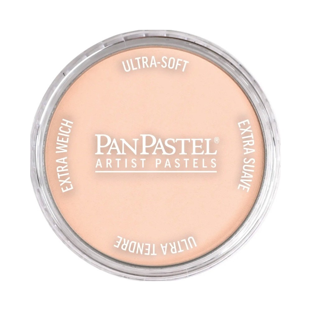 Pastela sucha PanPastel - 380.8 Red Iron Oxide Tint