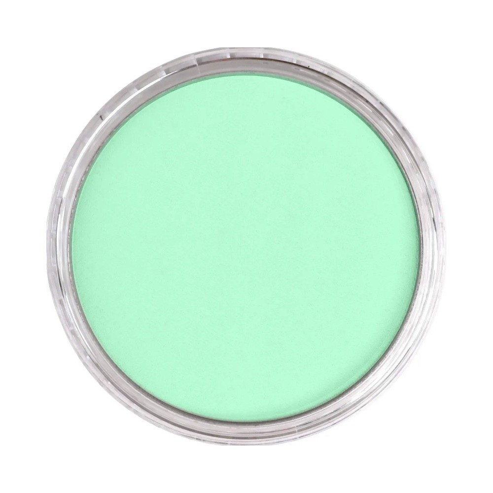 Ultra Soft PanPastel - 956.5 Pearlescent Green