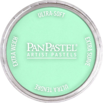 Ultra Soft PanPastel - 956.5 Pearlescent Green