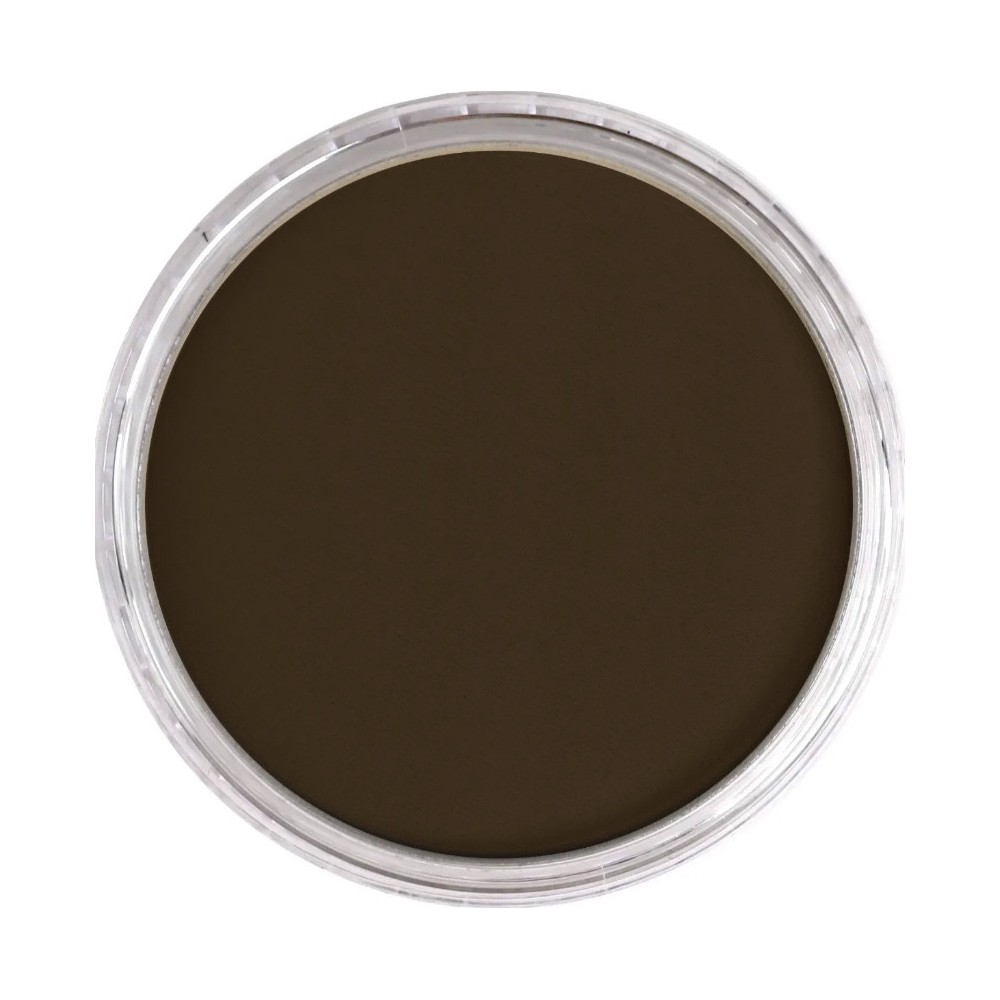 Ultra Soft PanPastel - 780.3 Raw Umber Shade