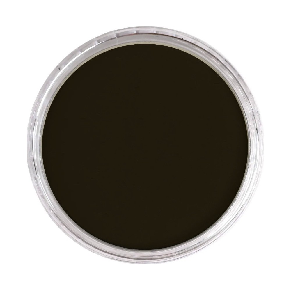 Ultra Soft PanPastel - 780.1 Raw Umber Extra Dark