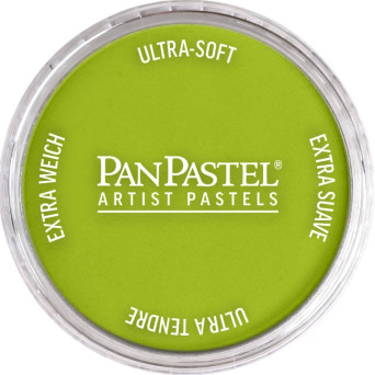 Pastela sucha PanPastel - 680.5 Bright Yellow Green