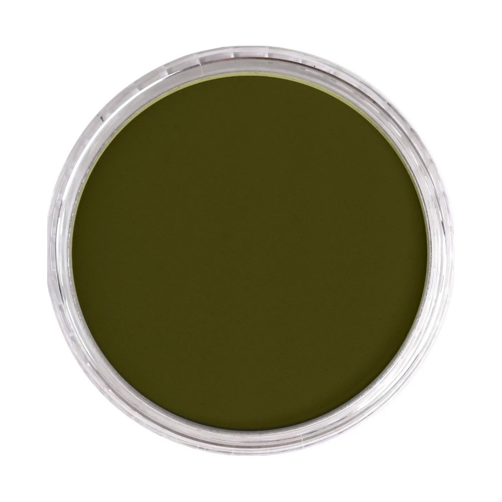 Pastela sucha PanPastel - 660.5 Chromium Oxide Green